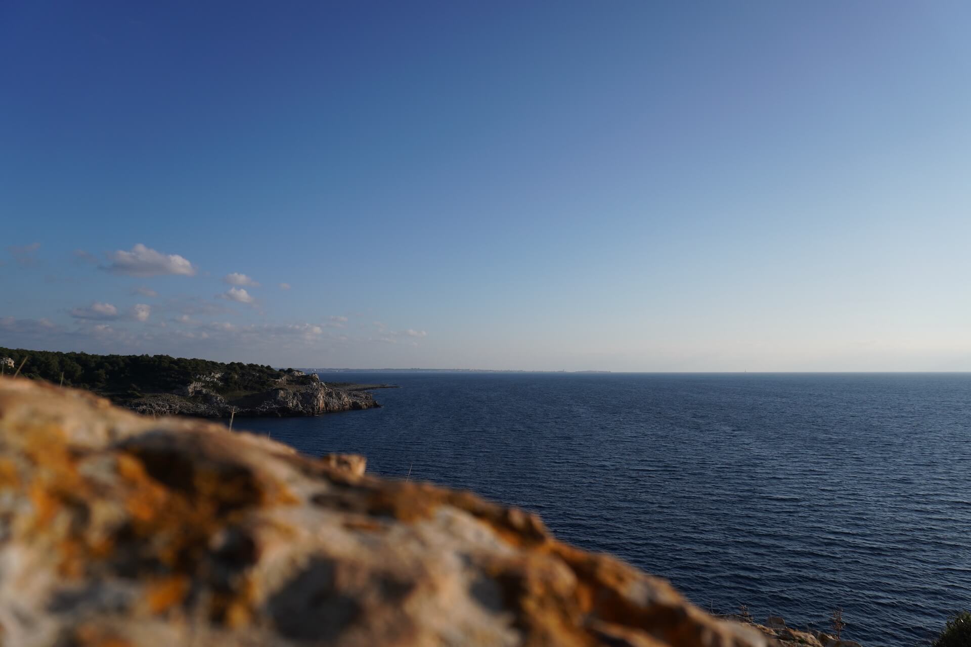 DSC00677